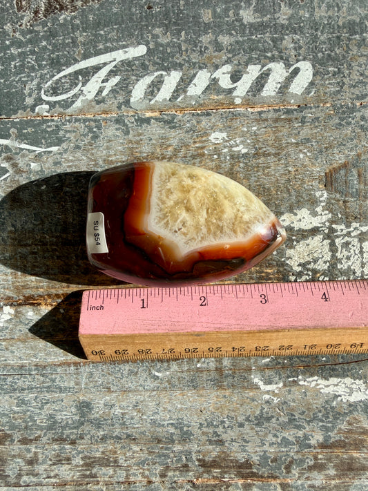 Gorgeous Carnelian + Orca Agate Flame | Opt SU