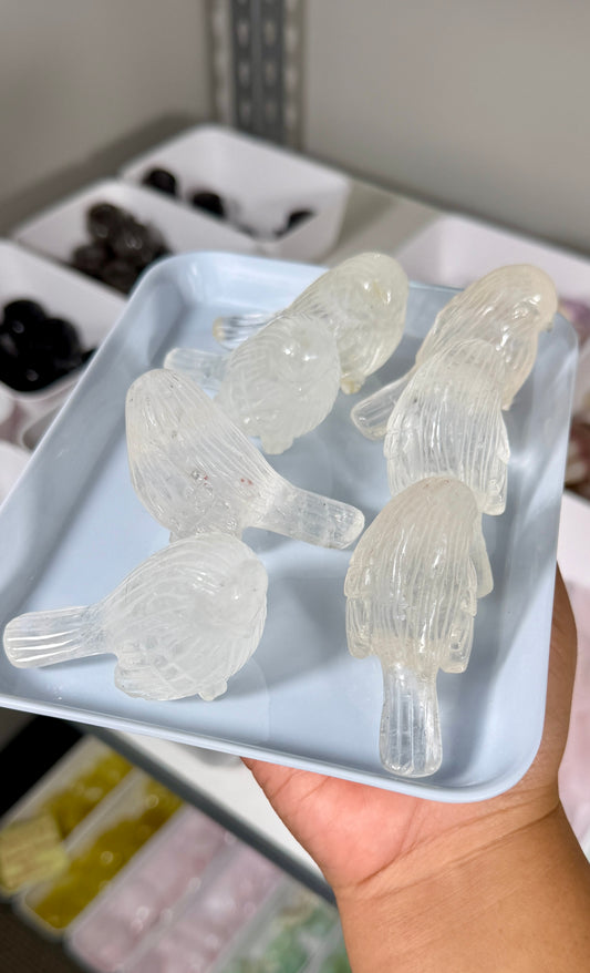 One (1) Gorgeous Clear Quartz Bird w/ Inclusions | Intuitively Chosen