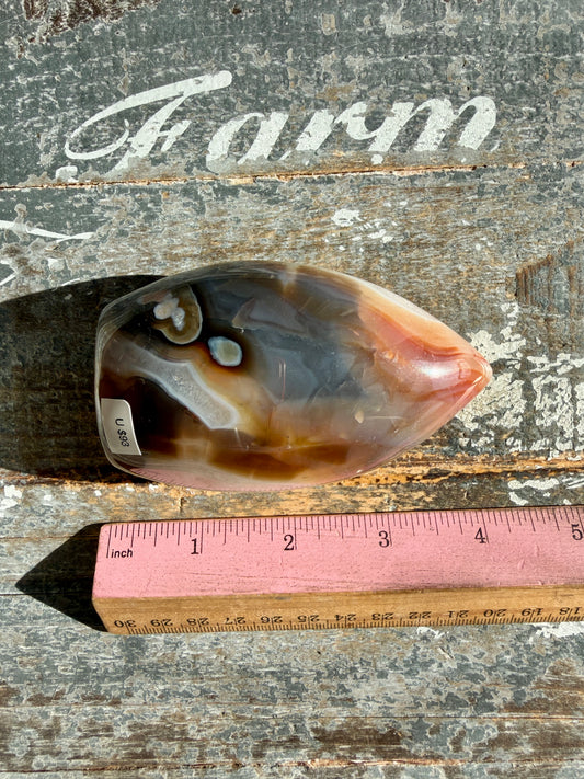 Gorgeous Carnelian + Orca Agate Flame | Opt U
