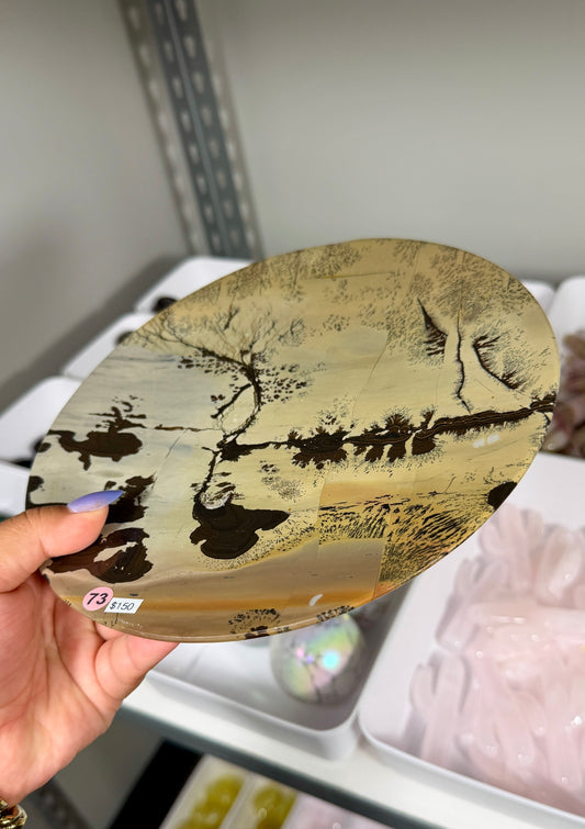 Gorgeous Picture Jasper Home Decor Plate | Opt 73