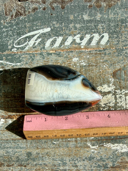 Gorgeous Carnelian + Orca Agate Flame | Opt BB