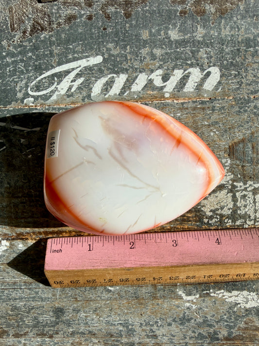 Gorgeous Carnelian + Orca Agate Flame | Opt II