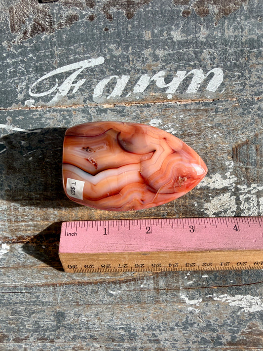 Gorgeous Carnelian + Orca Agate Flame | Opt T