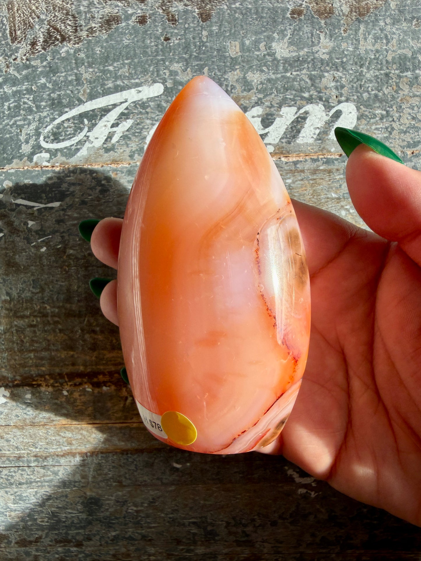 Gorgeous Carnelian + Orca Agate Flame | Opt H | Can't Stand
