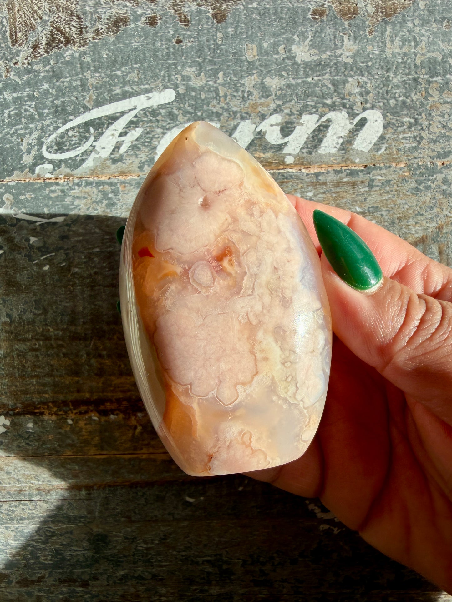 Gorgeous Carnelian + Orca Agate Flame | Opt I | Can't Stand