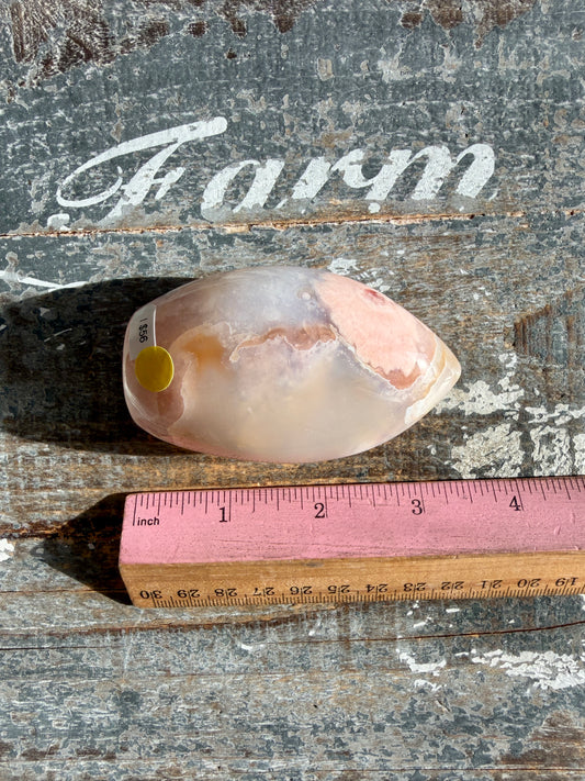 Gorgeous Carnelian + Orca Agate Flame | Opt I | Can't Stand