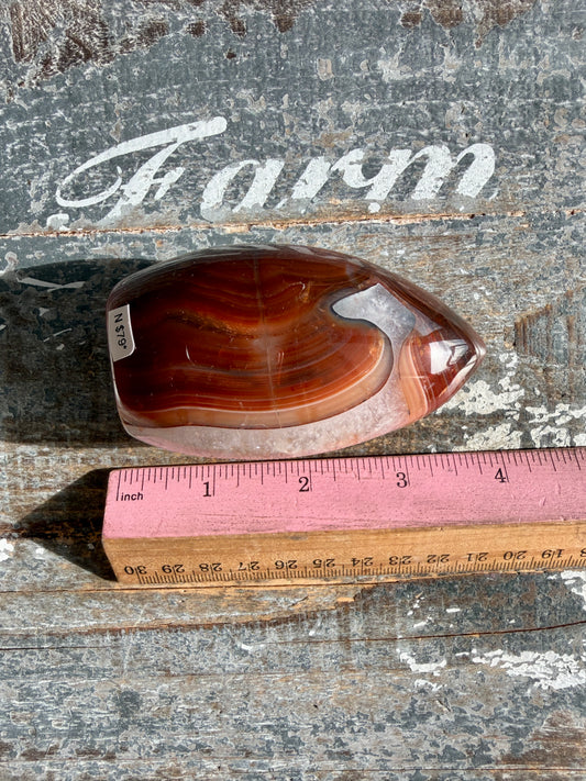 Gorgeous Carnelian + Orca Agate Flame | Opt N | Can't Stand