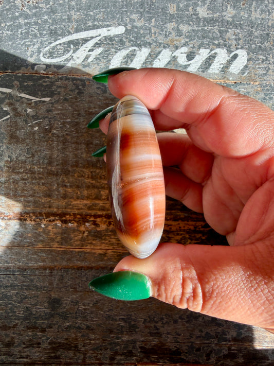 Gorgeous Carnelian + Orca Agate Palm Stone | CP3