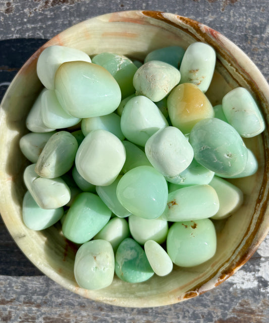 One (1) High Grade Chrysoprase Tumble | Intuitively Chosen