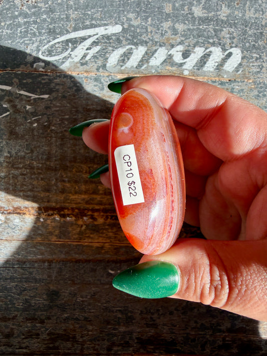 Gorgeous Carnelian + Orca Agate Palm Stone | CP10