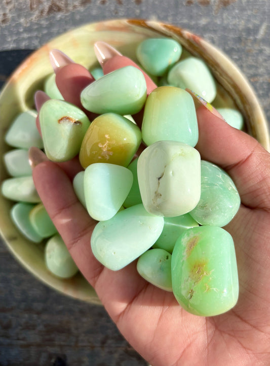 One (1) High Grade Chrysoprase Tumble | Intuitively Chosen