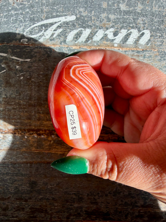 Gorgeous Carnelian + Orca Agate Palm Stone | CP25