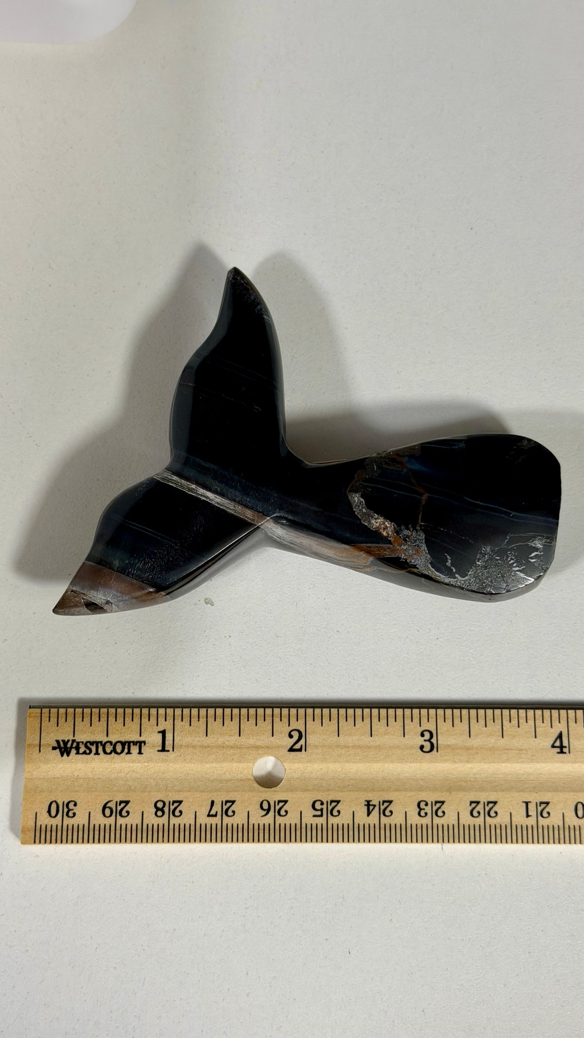 Gorgeous Blue Tigers Eye Whale Tail | Carved in India | Opt 55