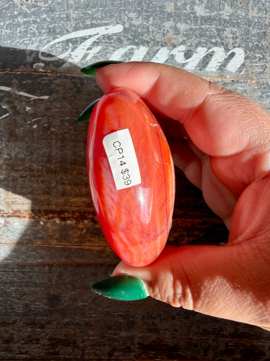 Gorgeous Carnelian + Orca Agate Palm Stone | CP14