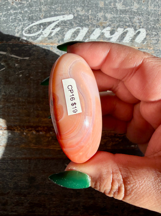 Gorgeous Carnelian + Orca Agate Palm Stone | CP16