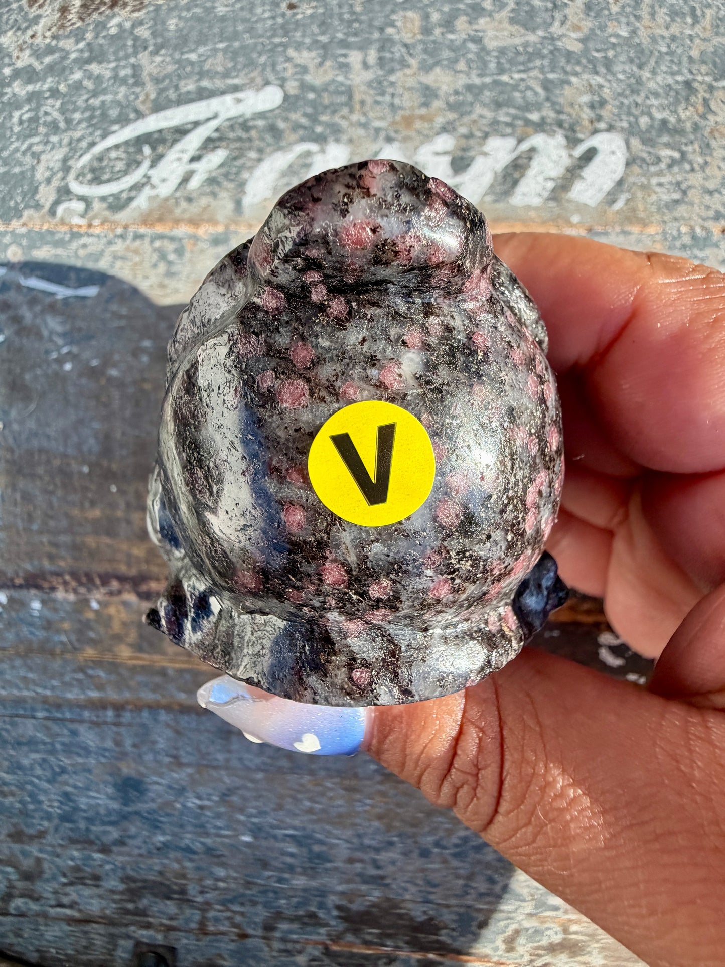 Garnet in Tourmaline Money Toad | Opt V