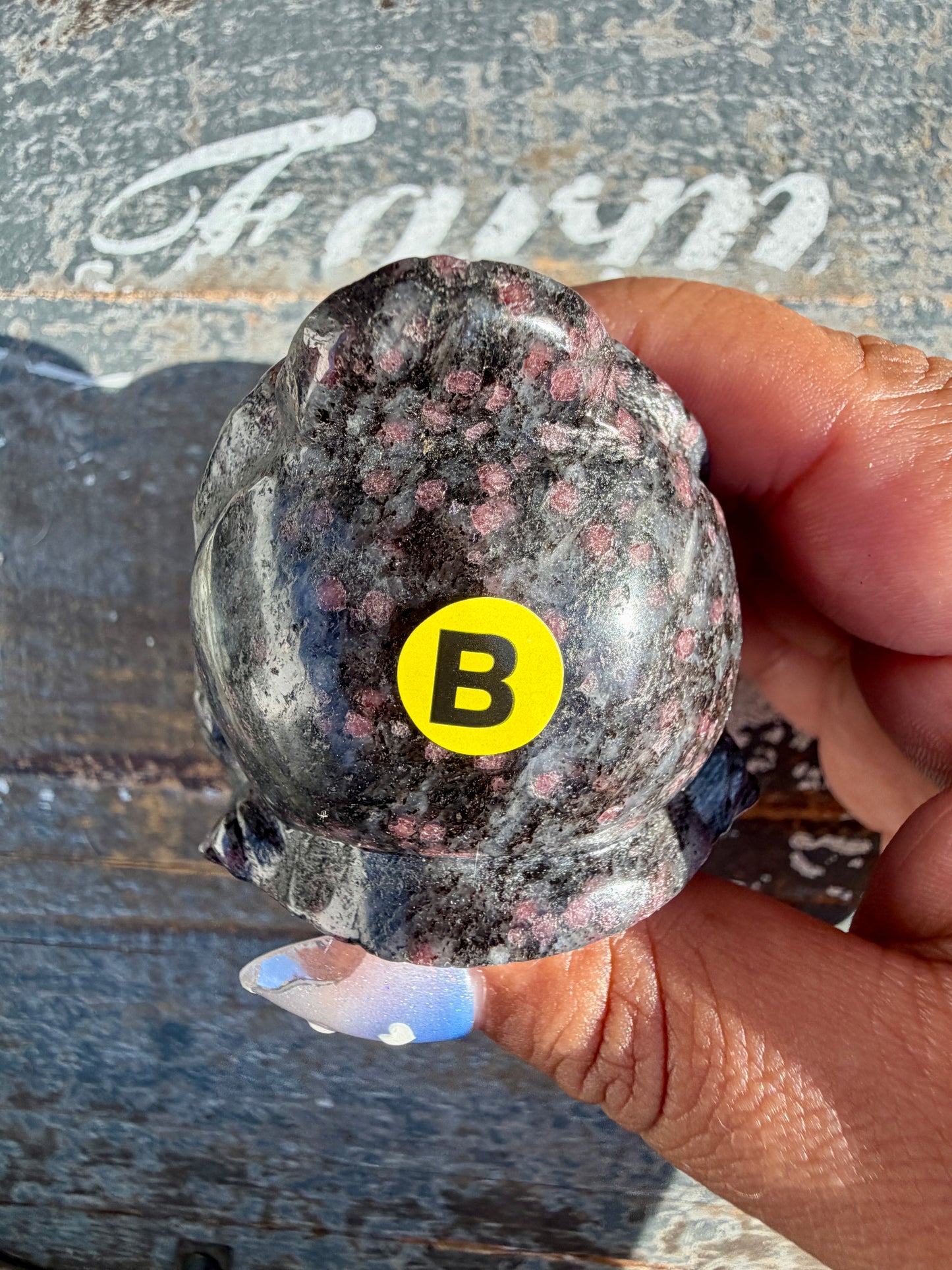 Garnet in Tourmaline Money Toad | Opt B