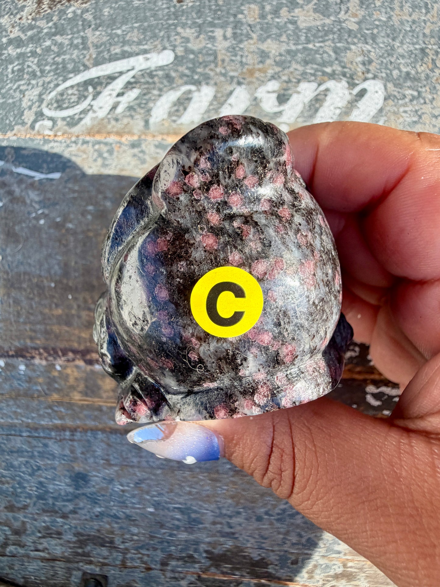 Garnet in Tourmaline Money Toad | Opt C