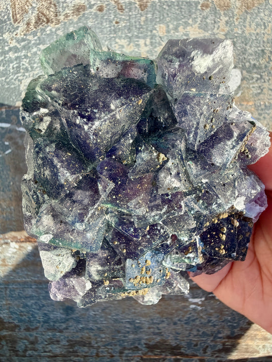 Gorgeous Cubic Dark Blue/Purple Fluorite Specimen coated in Pyrite | China | Opt 46