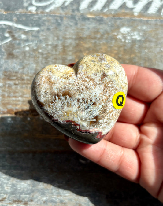 Gorgeous Crazy Lace Agate Heart from Mexico | Opt Q