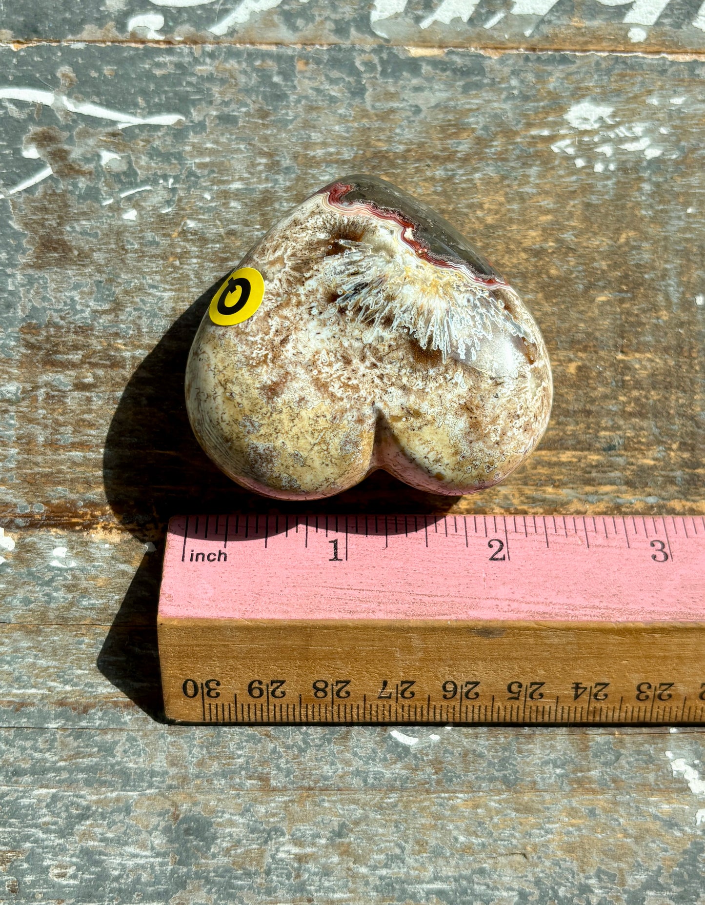 Gorgeous Crazy Lace Agate Heart from Mexico | Opt Q