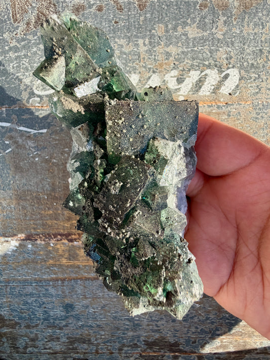 Gorgeous Cubic Dark Blue/Green Fluorite Specimen coated in Pyrite | China | Opt 56