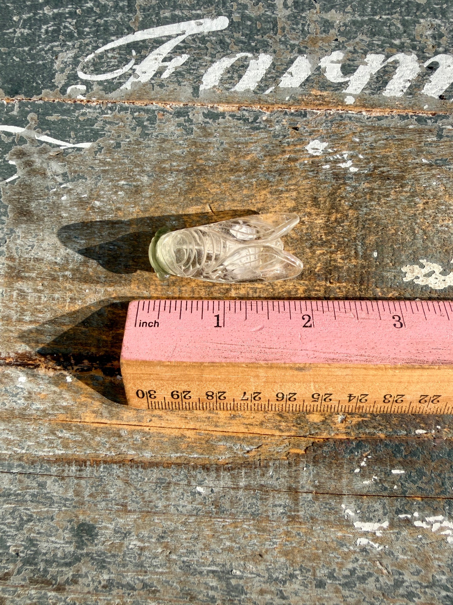Gorgeous Hand Carved Garden Quartz Cicada | Opt A