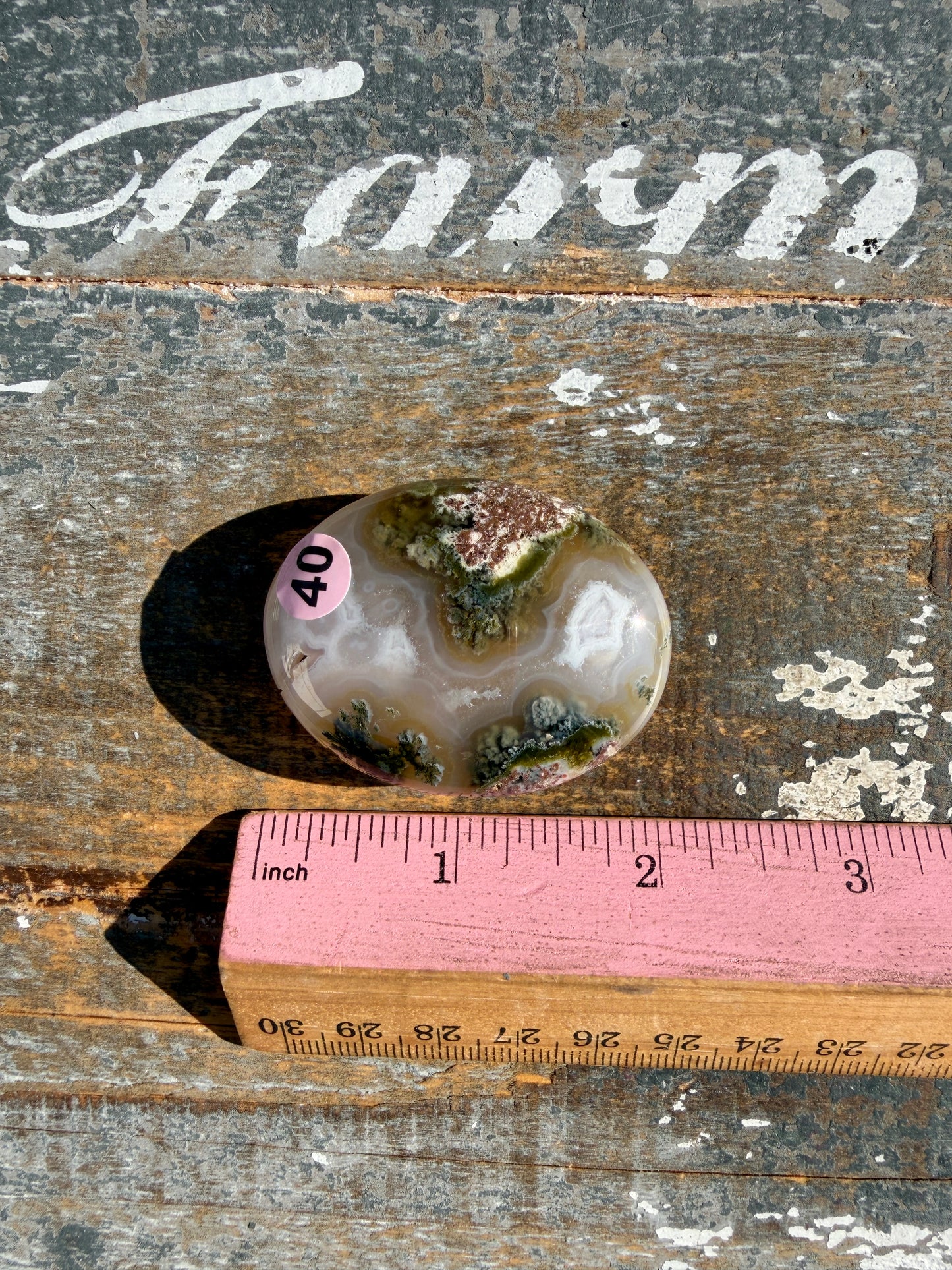 Gorgeous Scenic Moss Agate Palm Stone | Indonesia | Opt 40