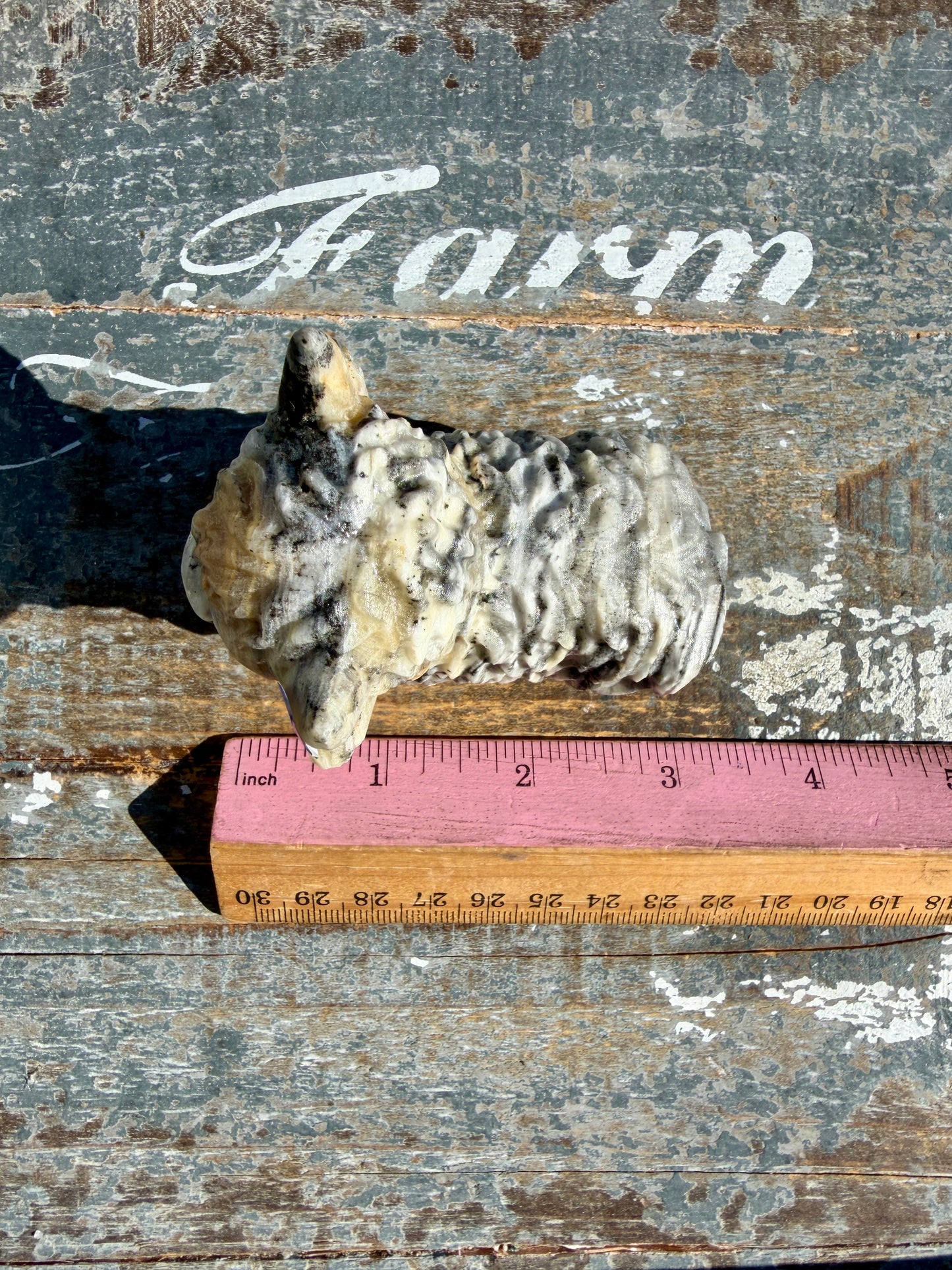 Adorable Bumblebee Calcite Yak | Opt 8