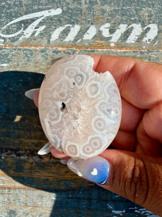 Gorgeous Scenic Moss Agate Palm Stone | Indonesia | Opt 20