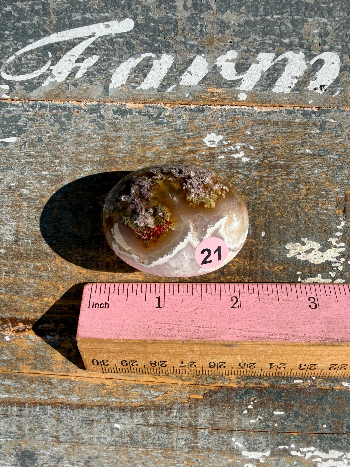 Gorgeous Scenic Moss Agate Palm Stone | Indonesia | Opt 21