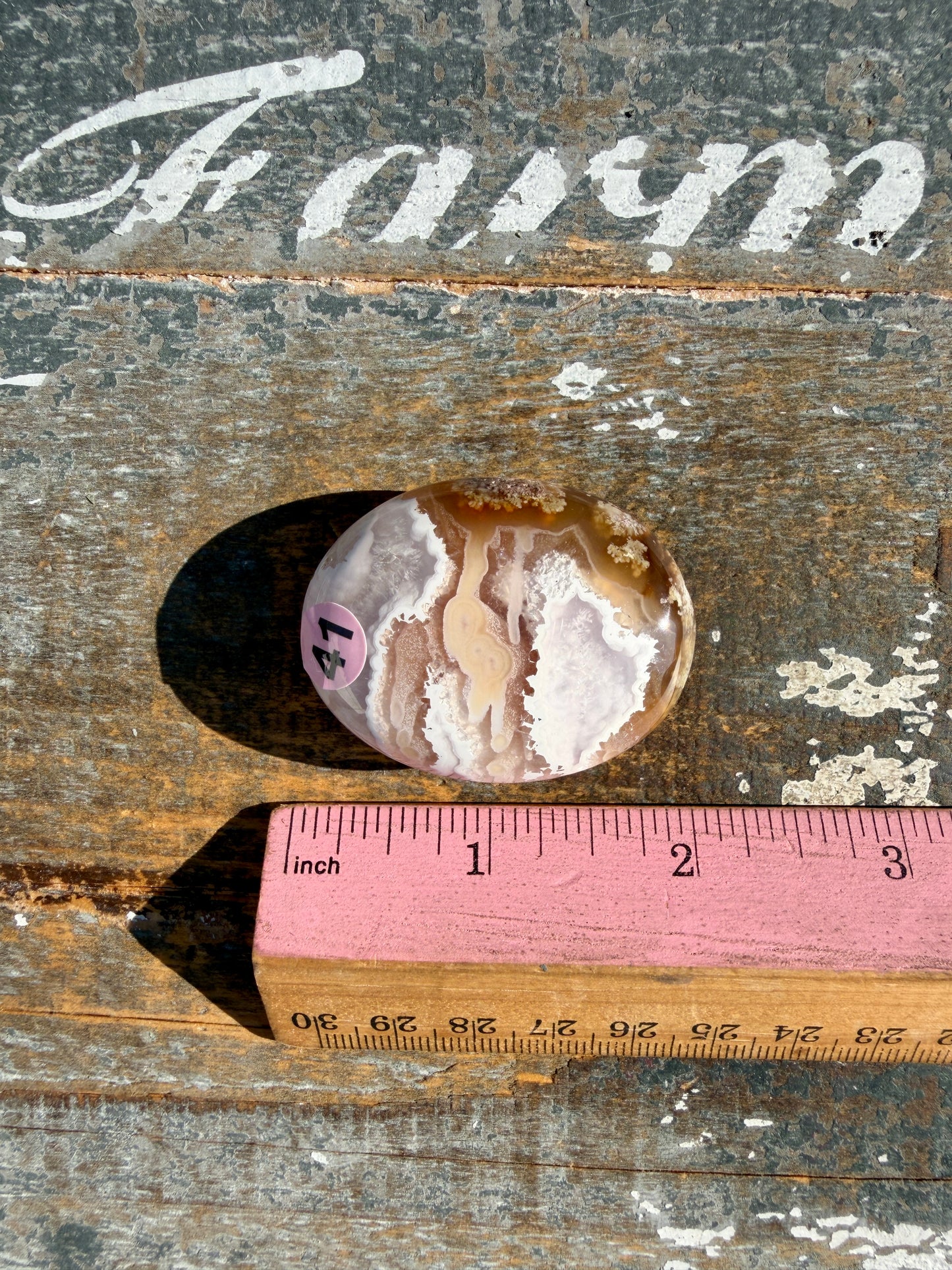 Gorgeous Scenic Moss Agate Palm Stone | Indonesia | Opt 41