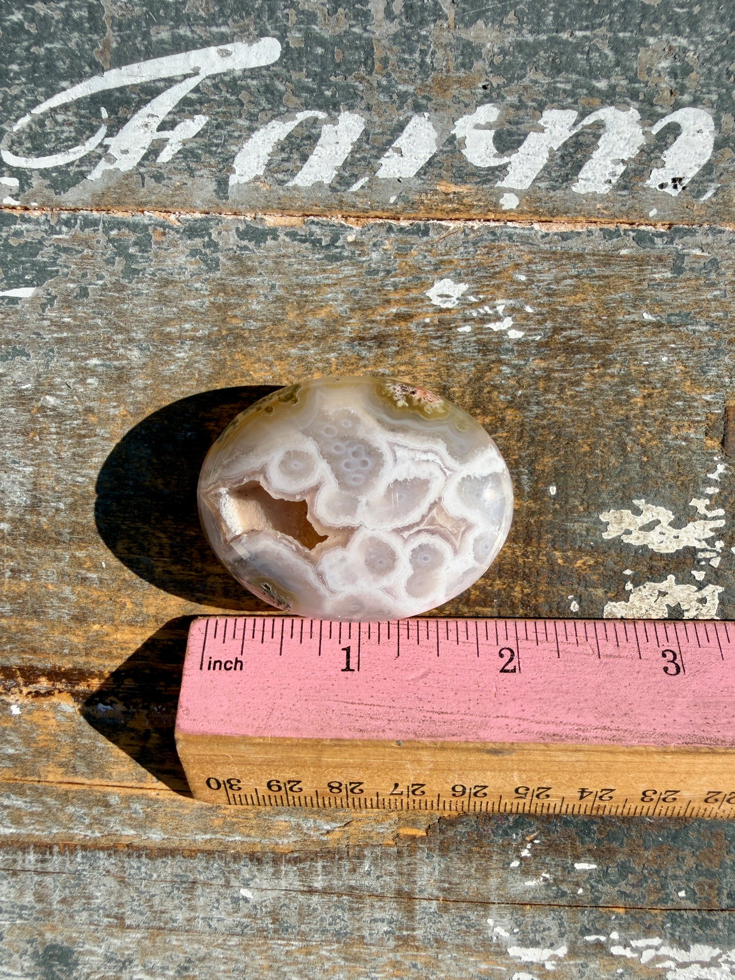 Gorgeous Scenic Moss Agate Palm Stone | Indonesia | Opt 30