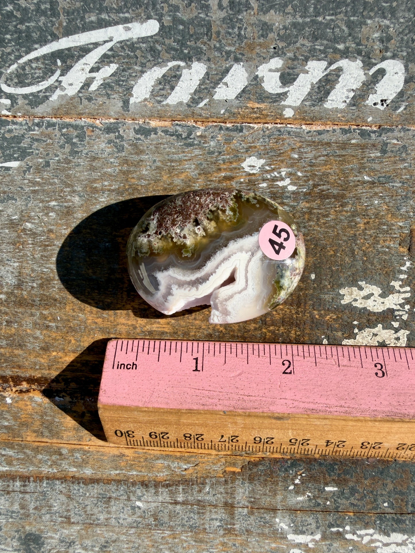 Gorgeous Scenic Moss Agate Palm Stone | Indonesia | Opt 45