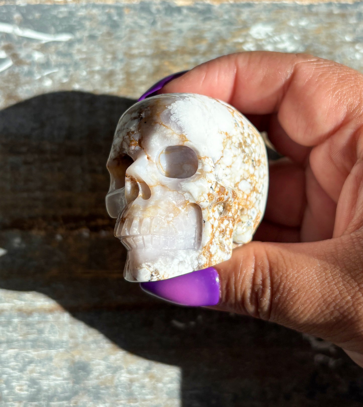 Gorgeous Dendritic Opal Skull | B (small)