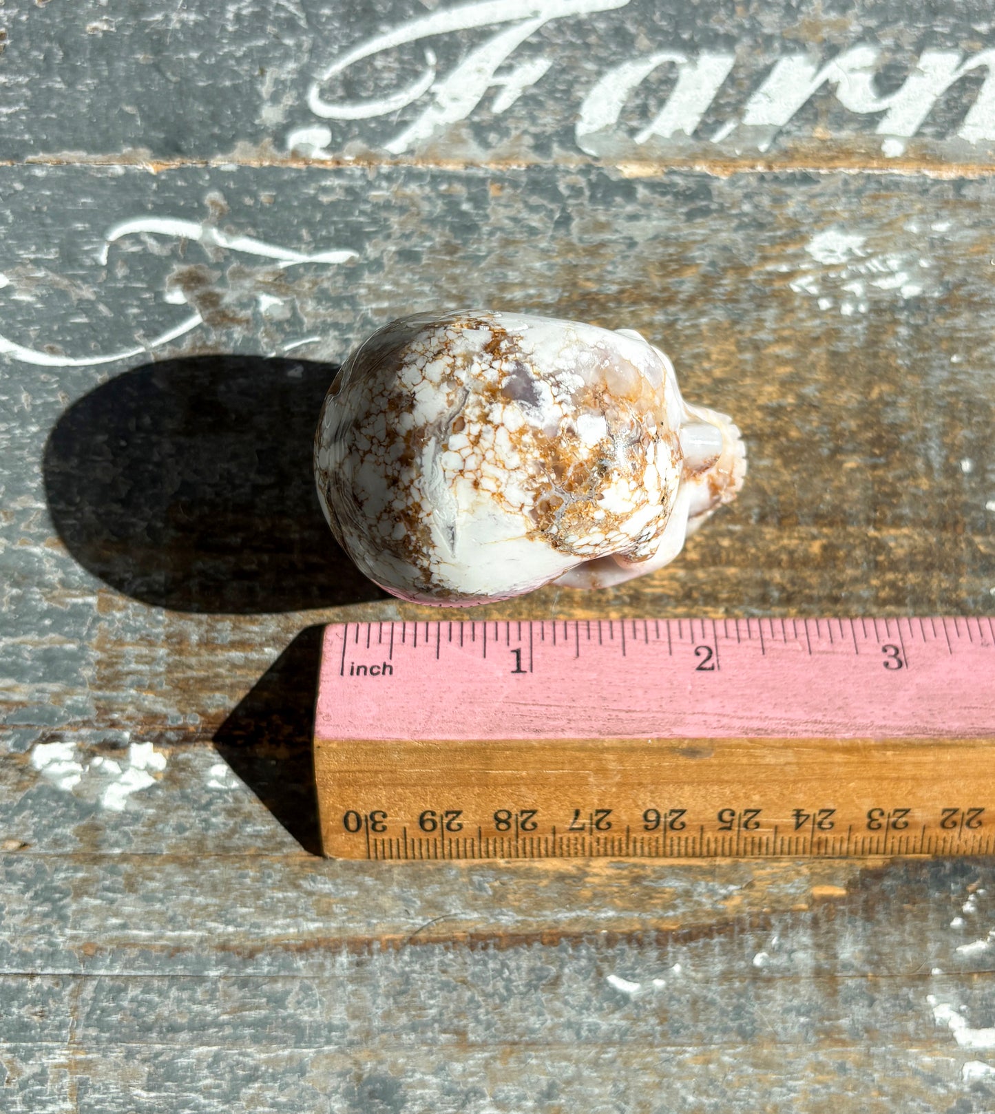 Gorgeous Dendritic Opal Skull | B (small)