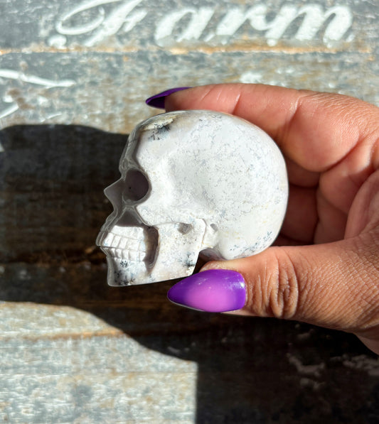 Gorgeous Dendritic Opal Skull | C (small)