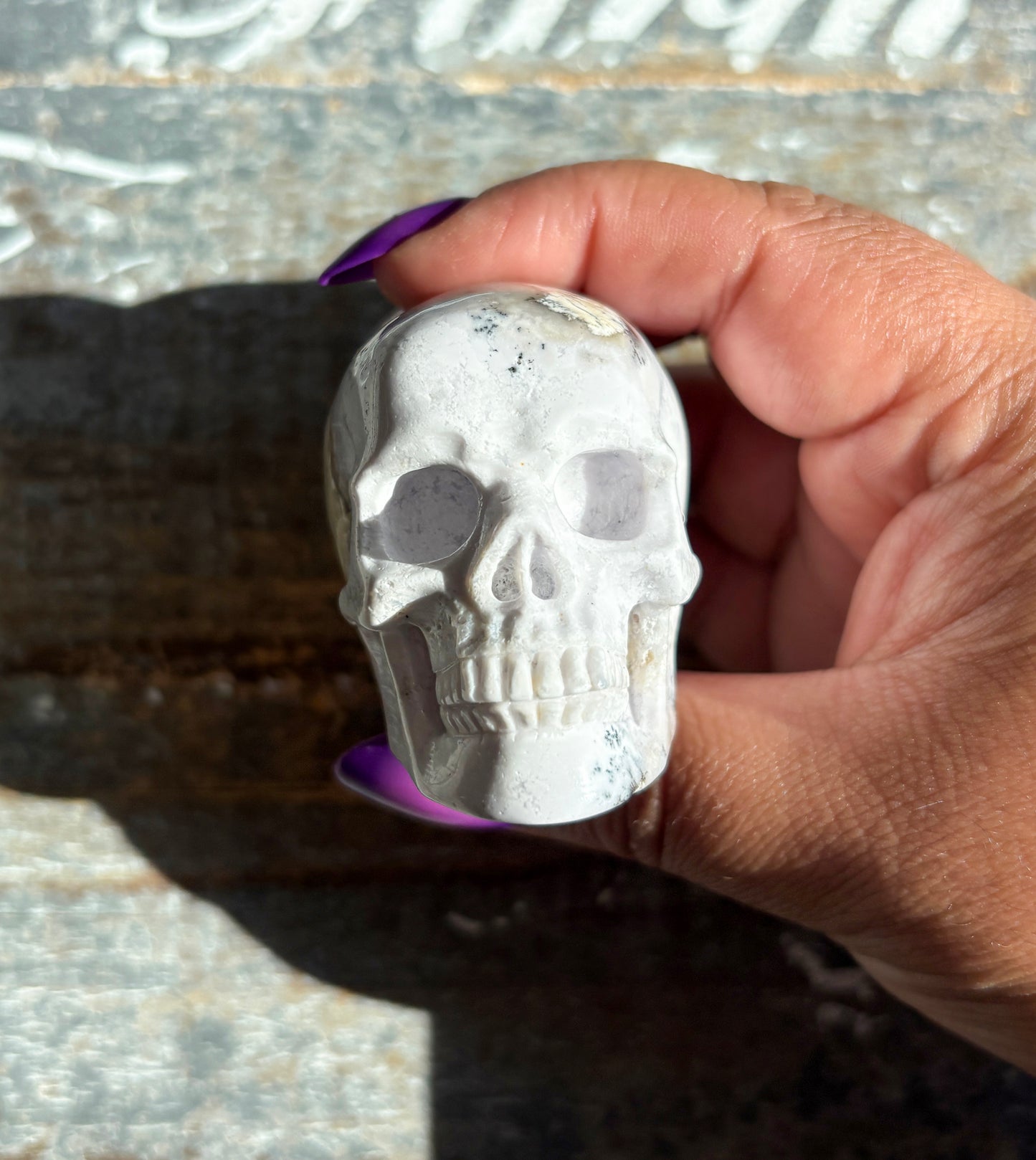 Gorgeous Dendritic Opal Skull | C (small)