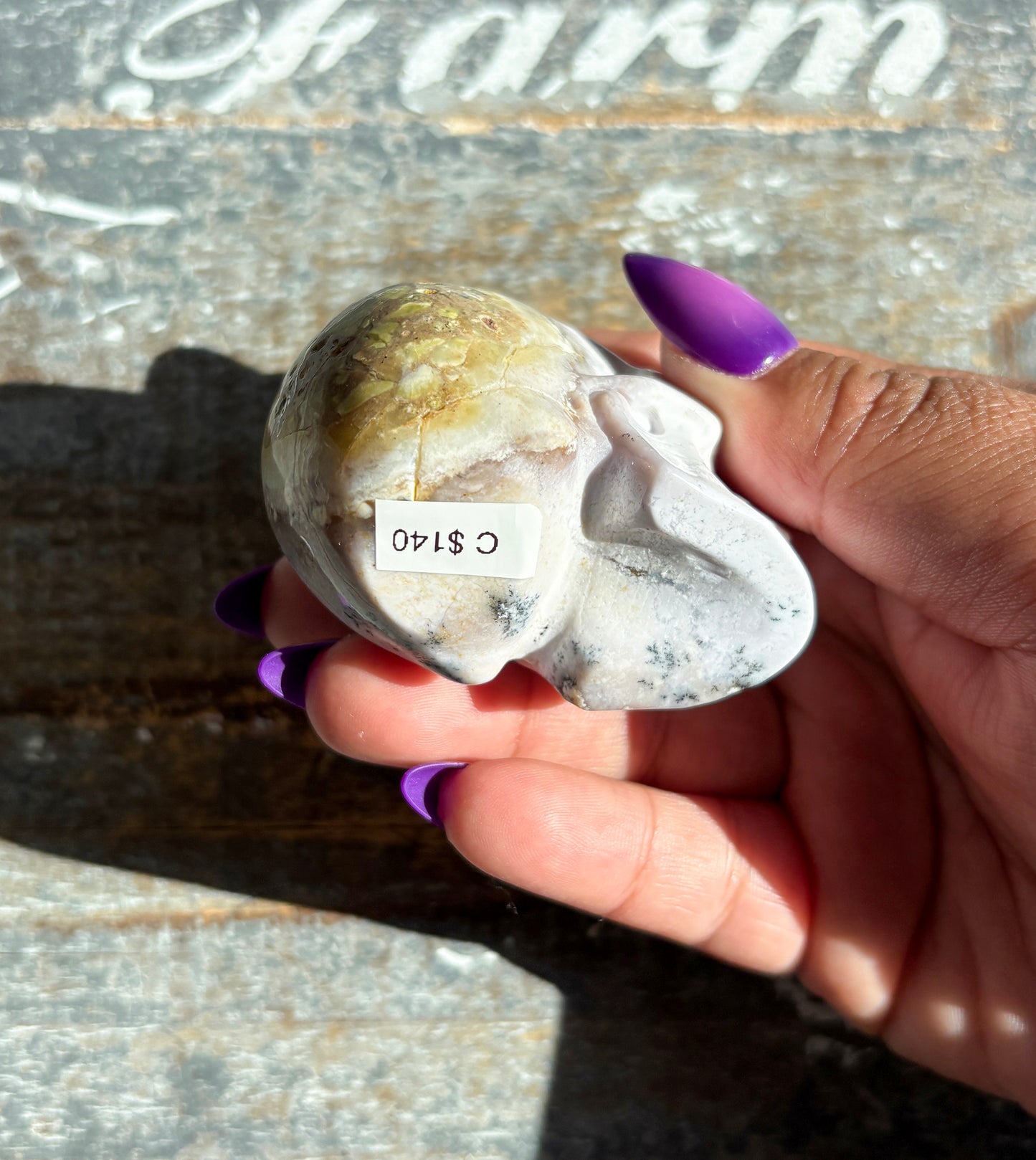 Gorgeous Dendritic Opal Skull | C (small)