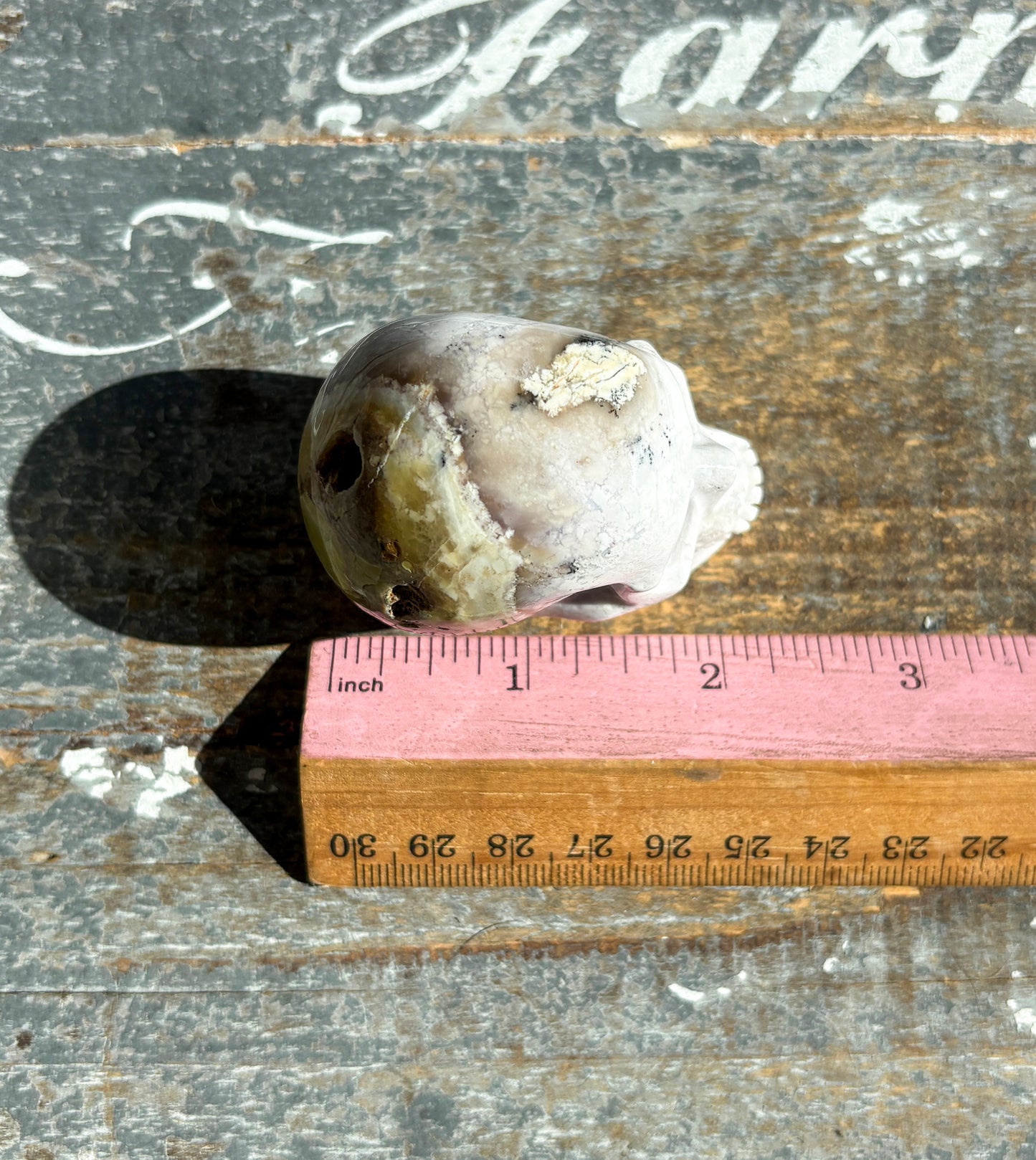 Gorgeous Dendritic Opal Skull | C (small)