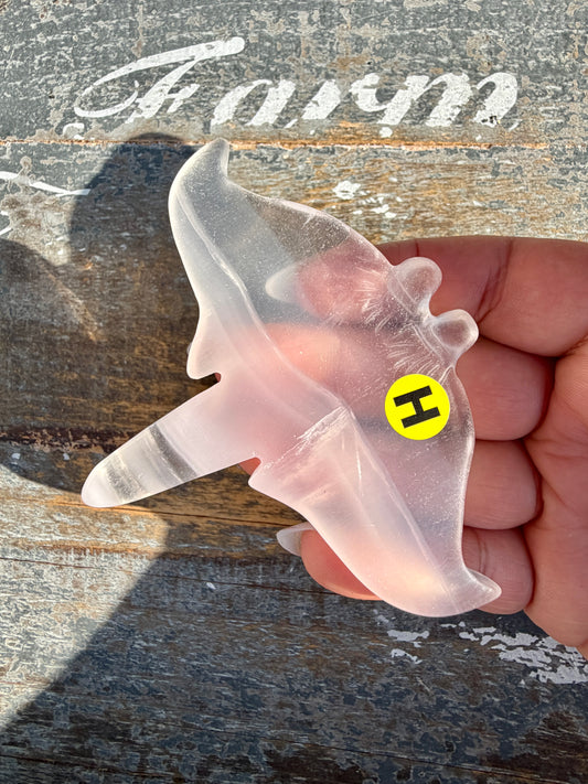 Gorgeous Yttrium Fluorite Sting Ray Carving | Opt H