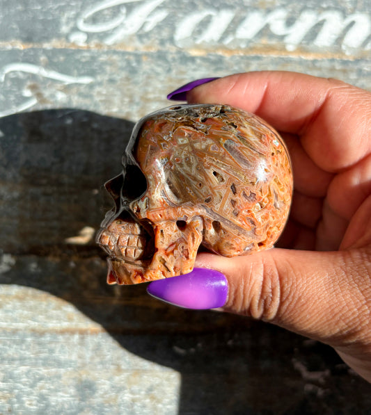 Gorgeous Included Agate Skull | B