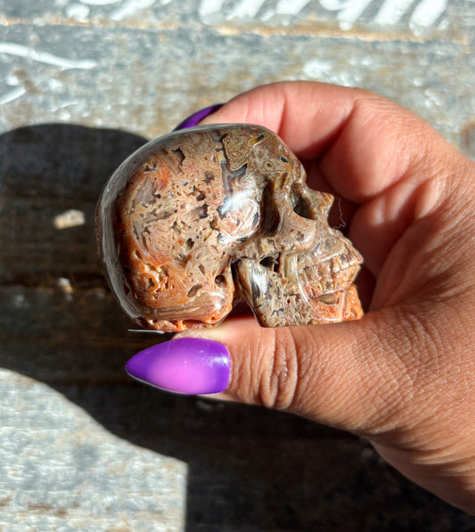 Gorgeous Included Agate Skull | B