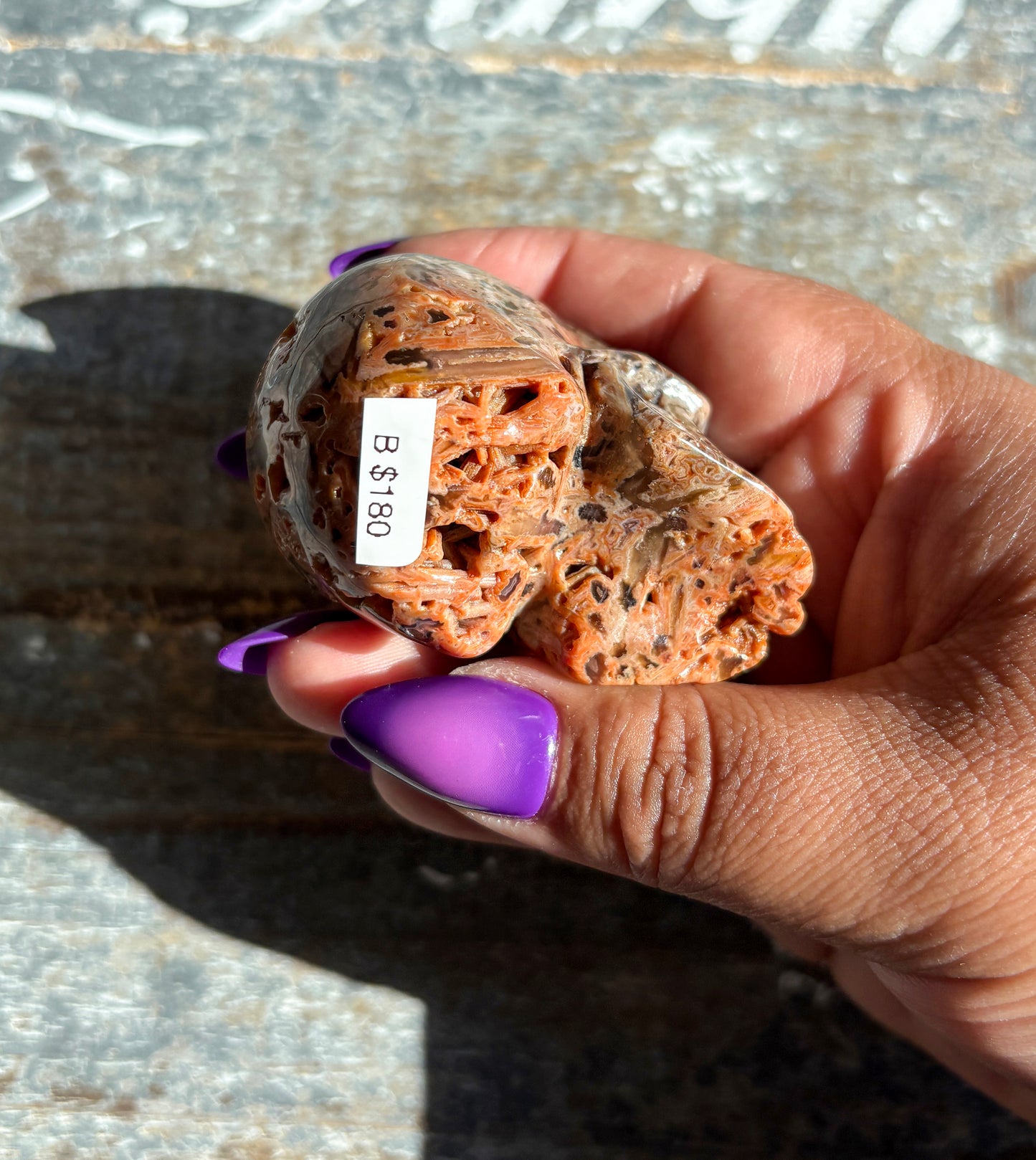 Gorgeous Included Agate Skull | B