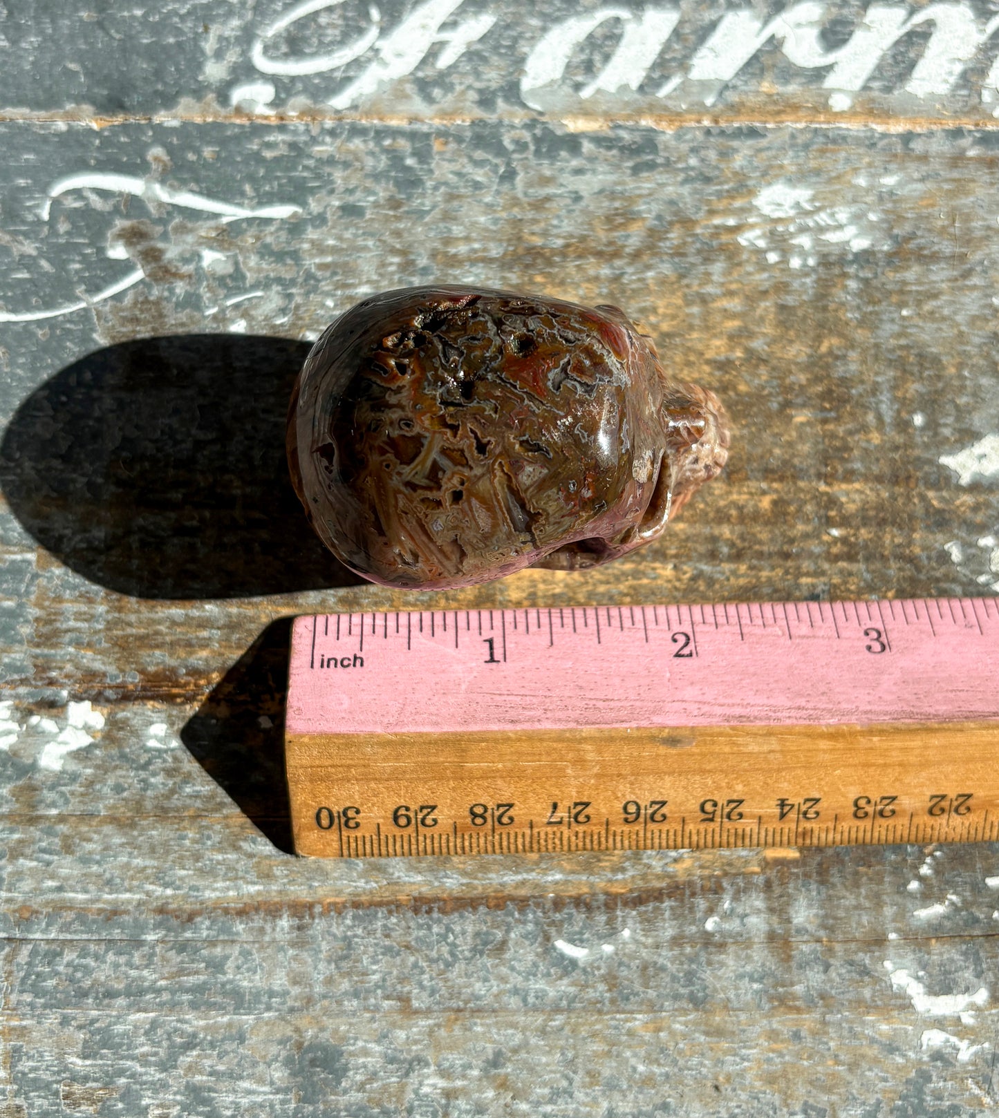 Gorgeous Included Agate Skull | B