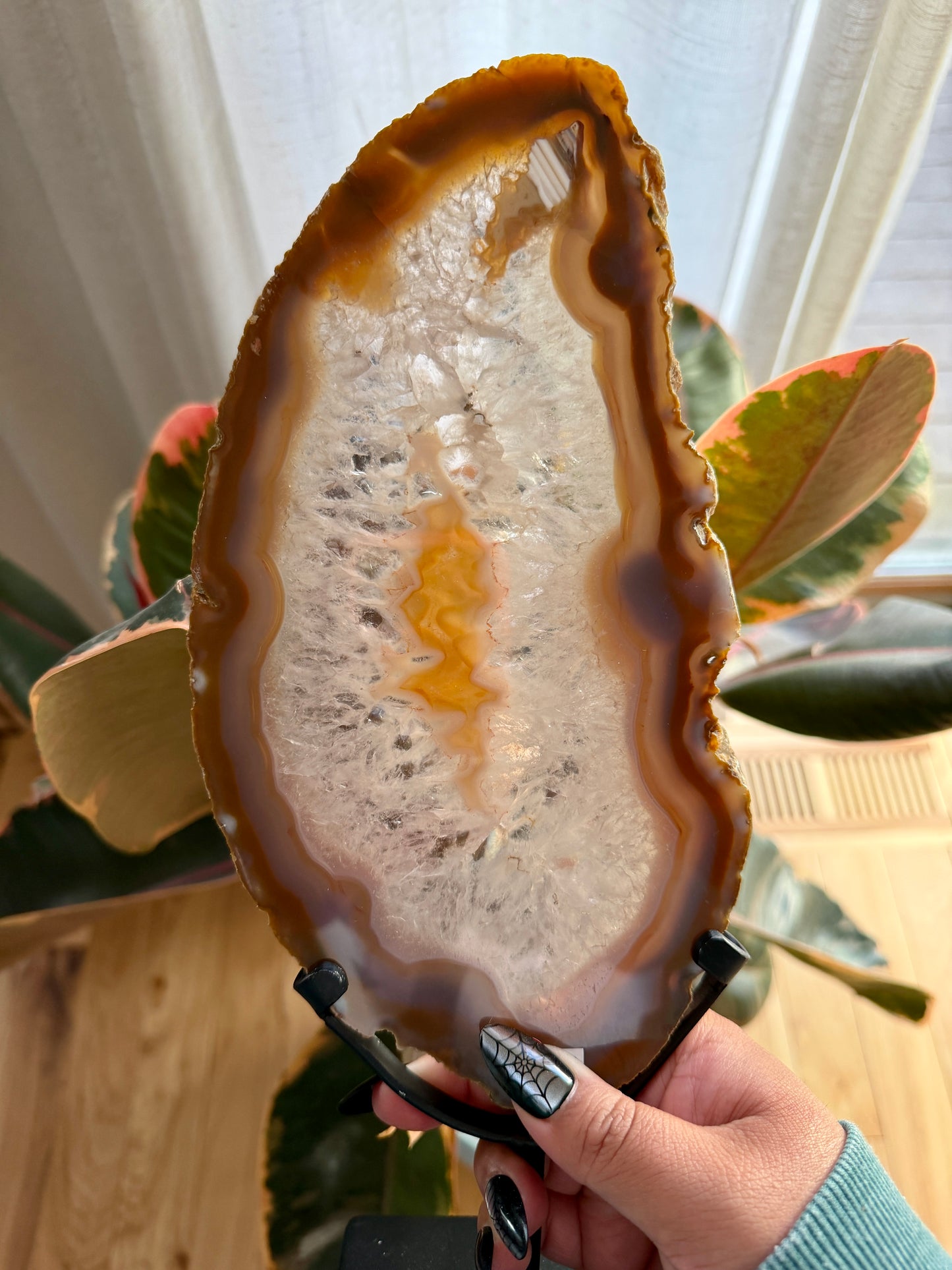 Gorgeous Agate Slice from Brazil | Opt 12 (12" tall)