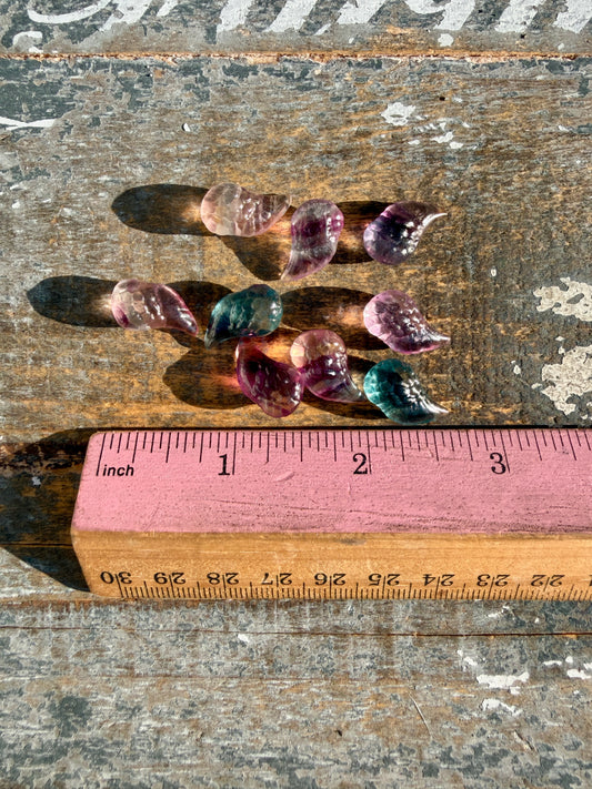 One (1) Mini Rainbow Fluorite Wing | Intuitively Chosen