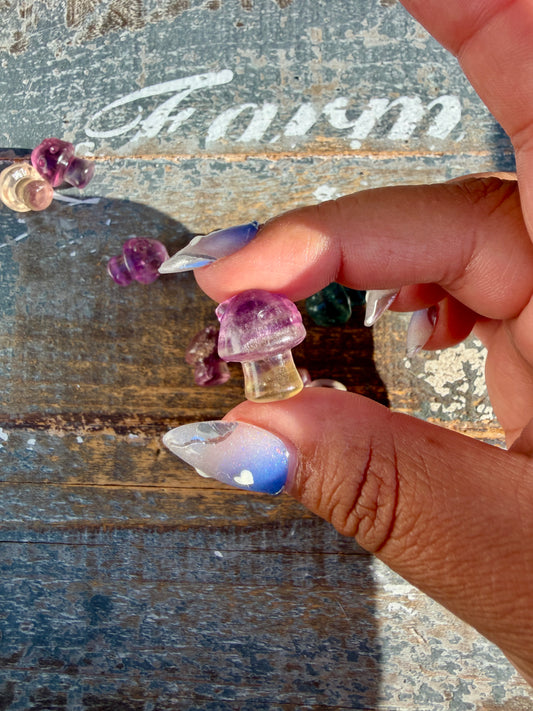 One (1) Mini Rainbow Fluorite Mushroom House | Intuitively Chosen