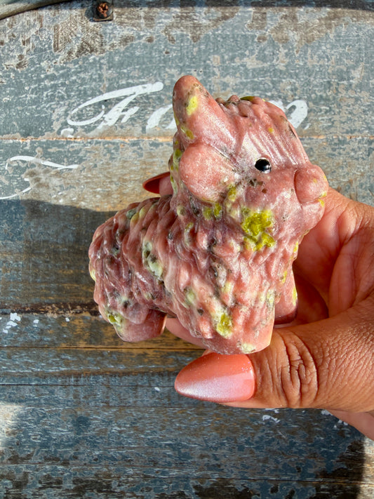Adorable Peach Blossom Tourmaline Highland Cow | Opt H