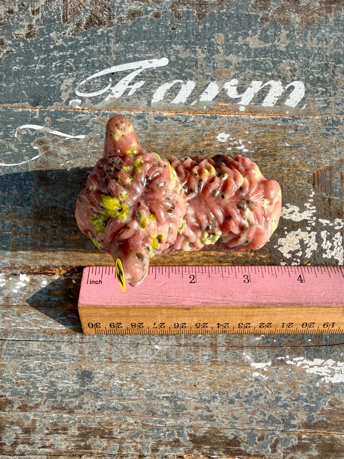 Adorable Peach Blossom Tourmaline Highland Cow | Opt H